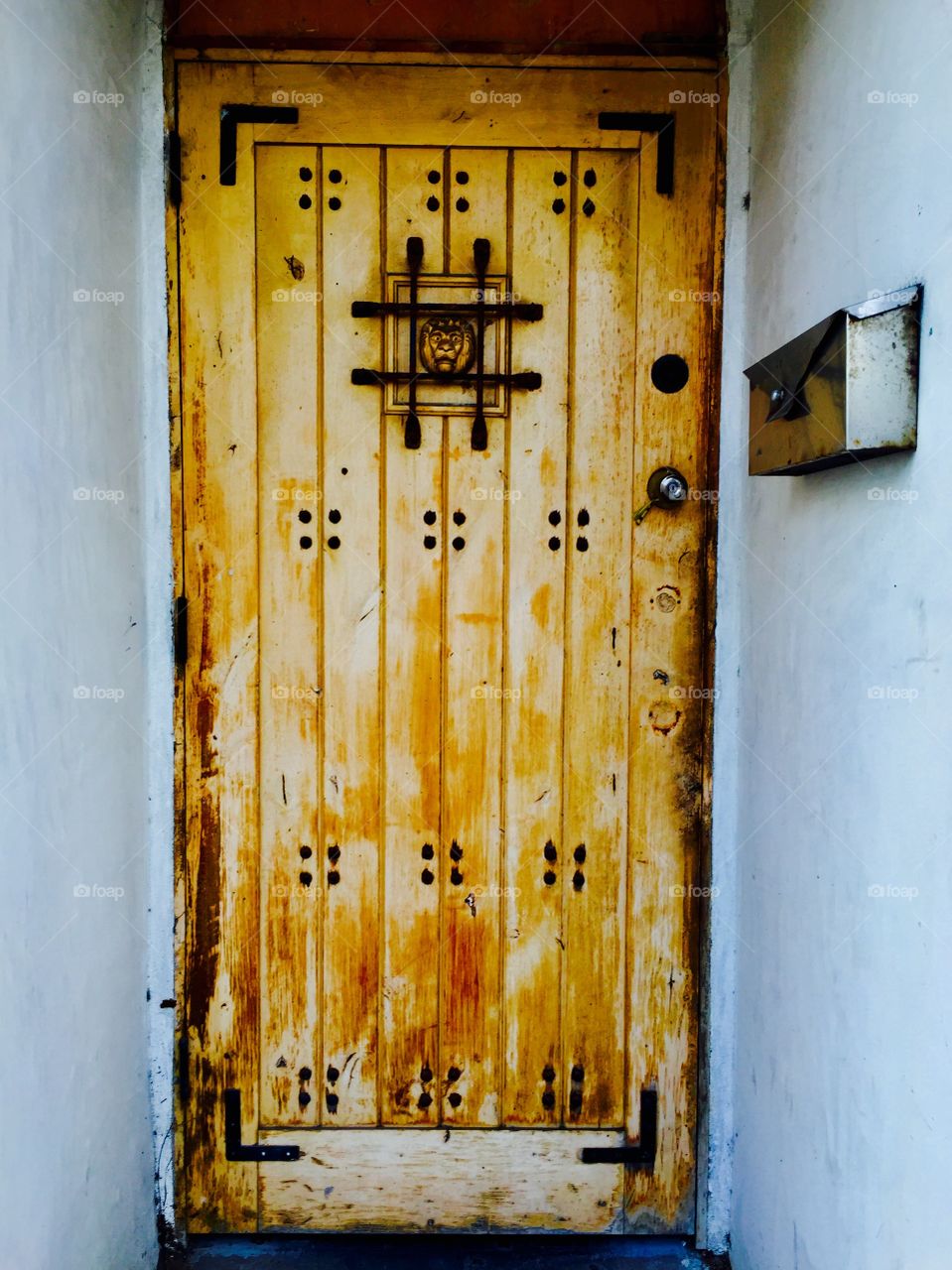 Door 