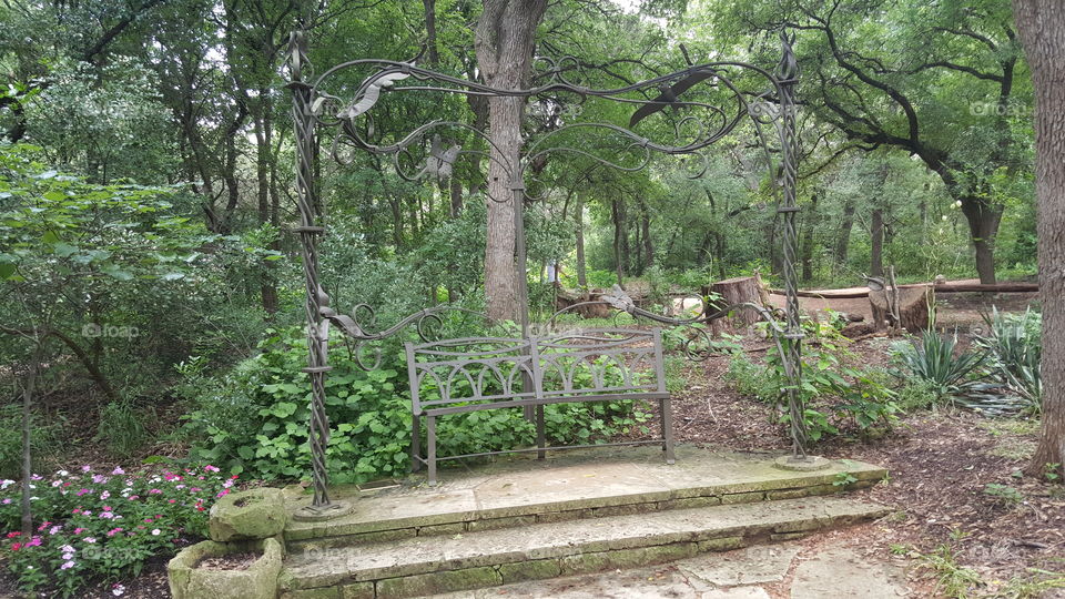 botanical garden bench