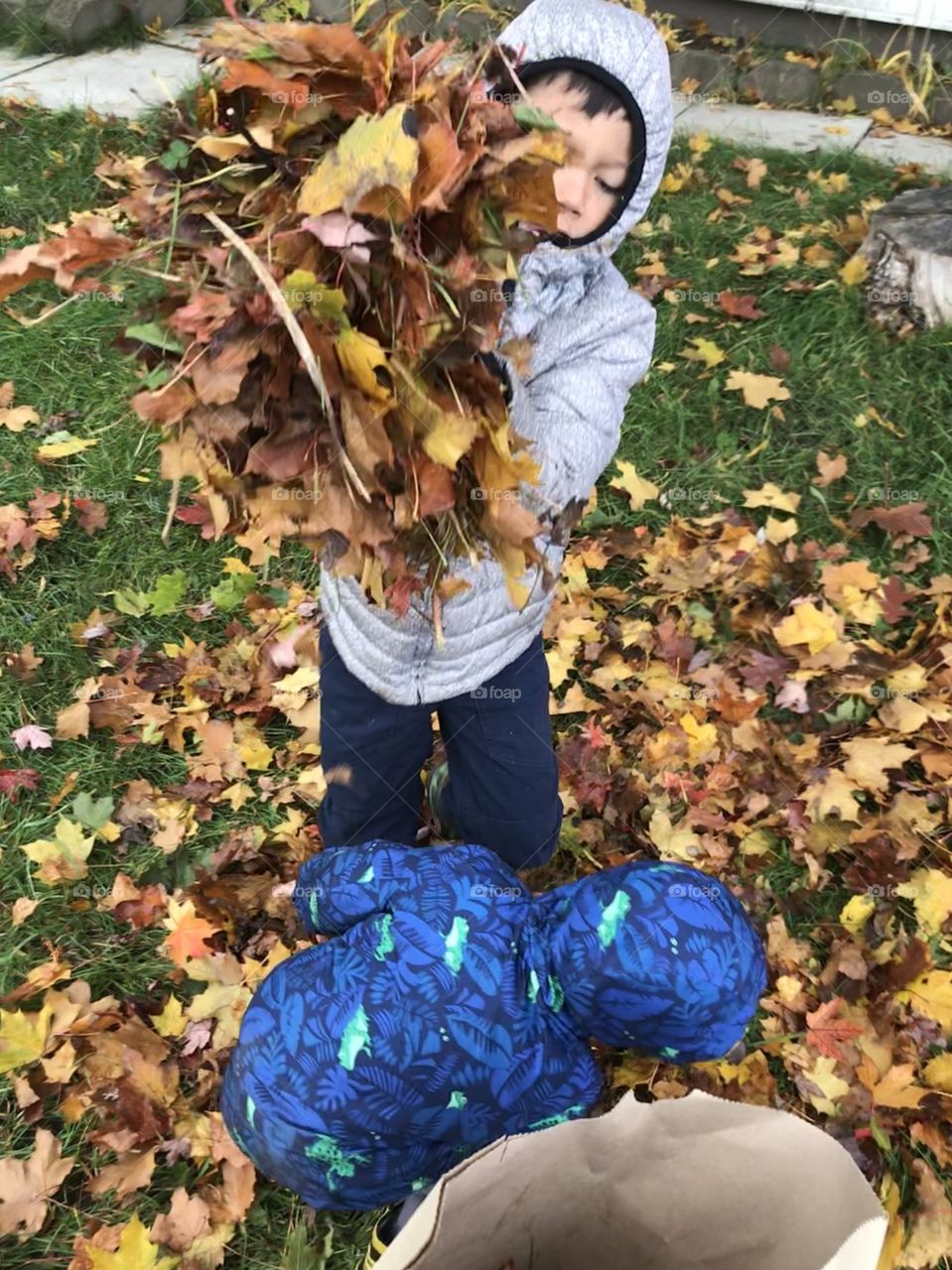 Putting leaves in a bag after raking