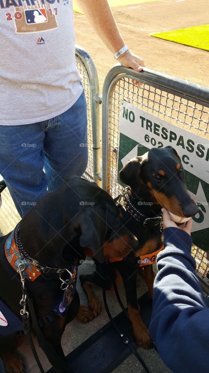 That is my ball.  Give it back.