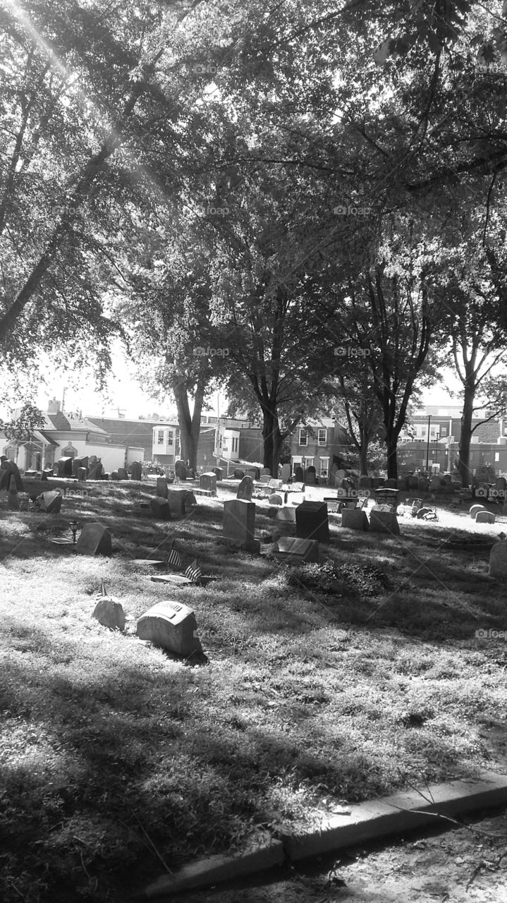 Palmer Cemetery