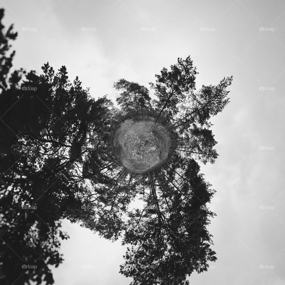 The sky isn't clearing,
I wander and wander,
there seem to be nearing
another big thunder.