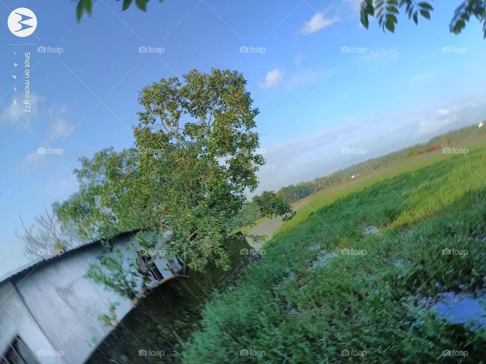 my village
