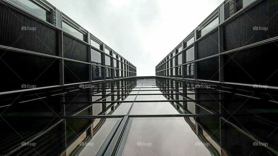 Glashaus-Blick nach oben