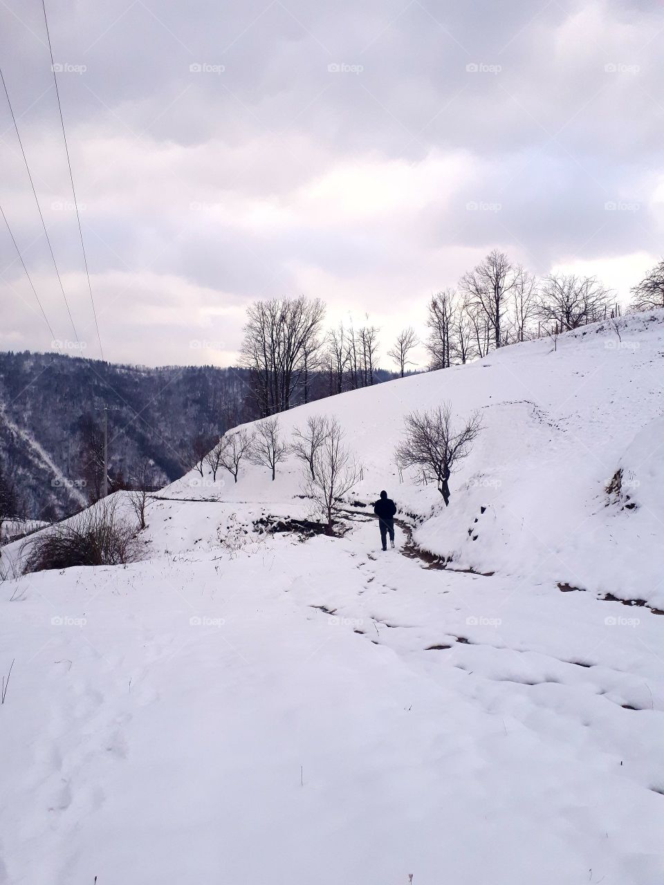 a walk through the snow