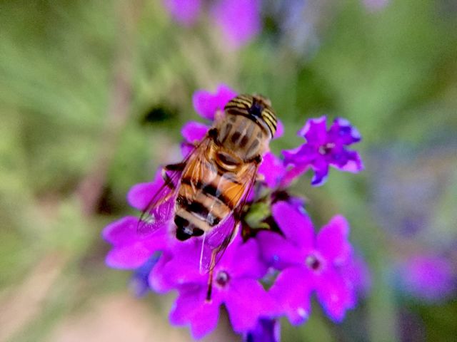 My hobby photography nature