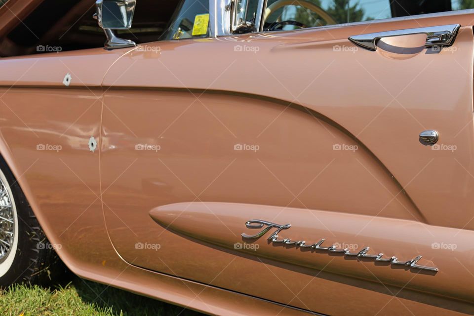 Peach Thunderbird