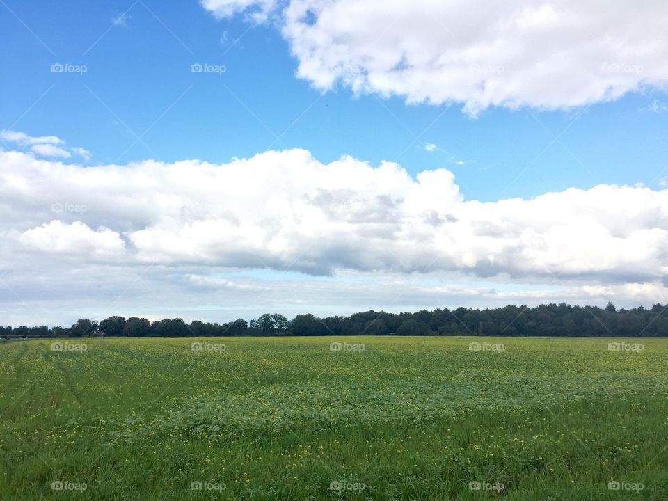 Background blue sky white clouds
