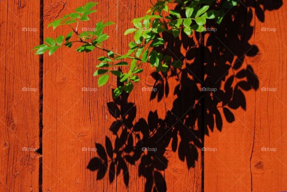 Red old barn