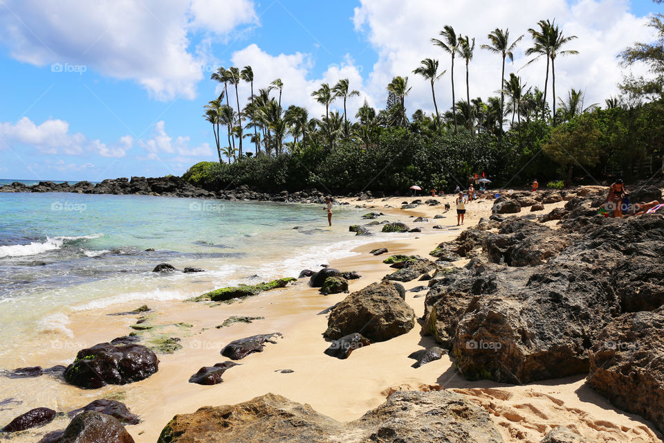 Hawaii. Beach