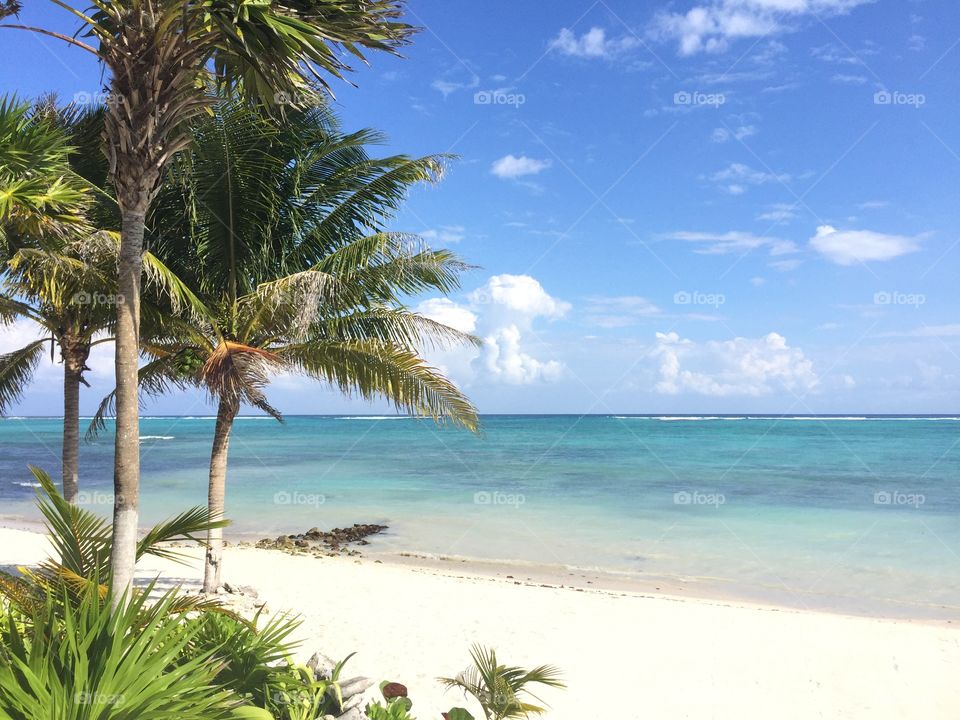 A beautiful day in Akumal, Mexico.