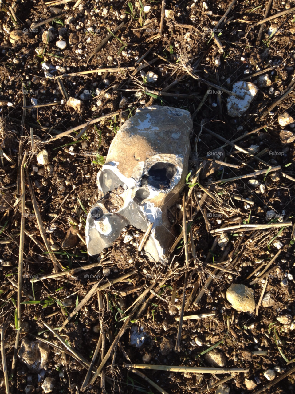 face skull flint ploughed field by iphonesnapper