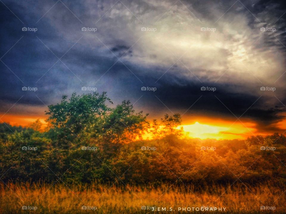 I had to pull over and take this photo 