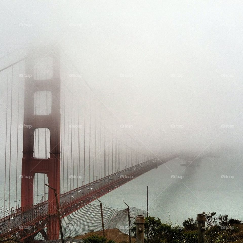 Golden Gate Fog