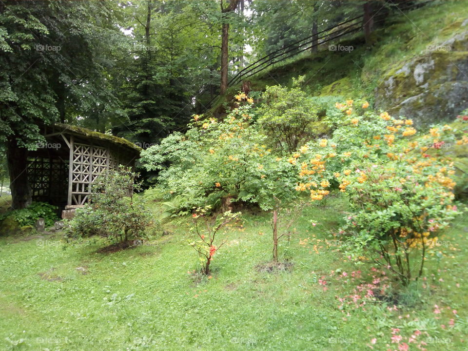 Kurpark in Bad Wildbad