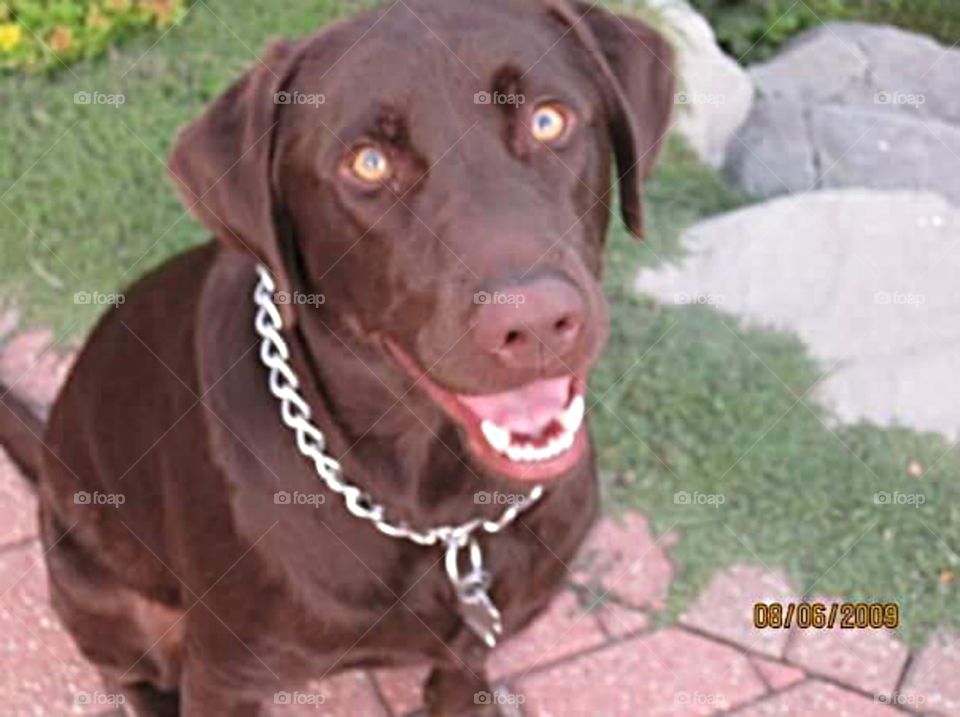 Smile for the camera