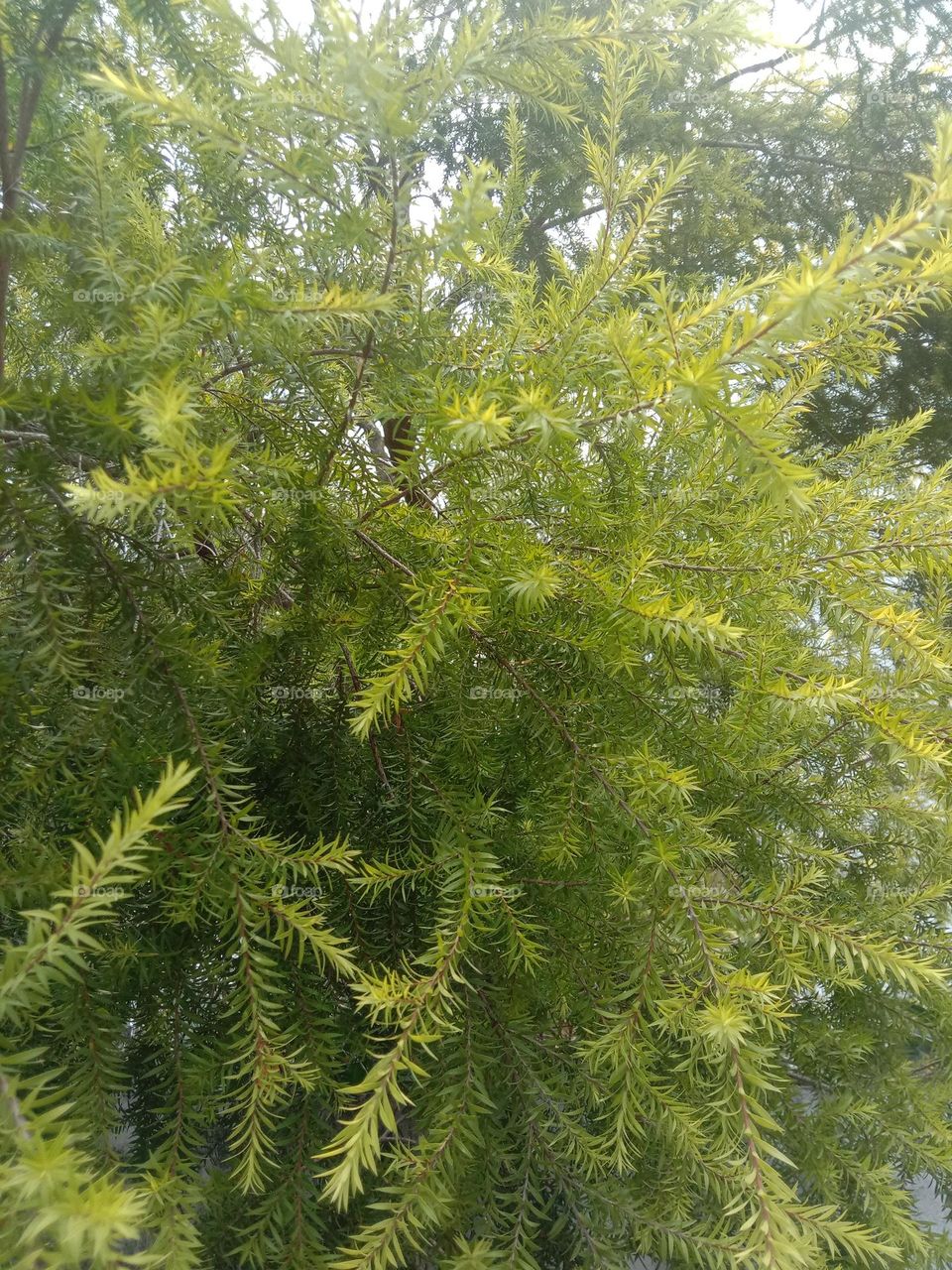 Go green ❤️. Be real and so beautiful 😍❤️✨