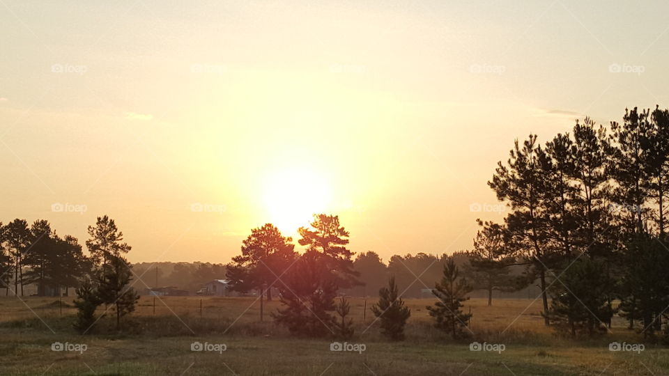 Conroe sunrise