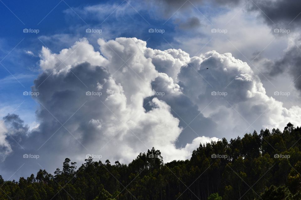 A brewing storm