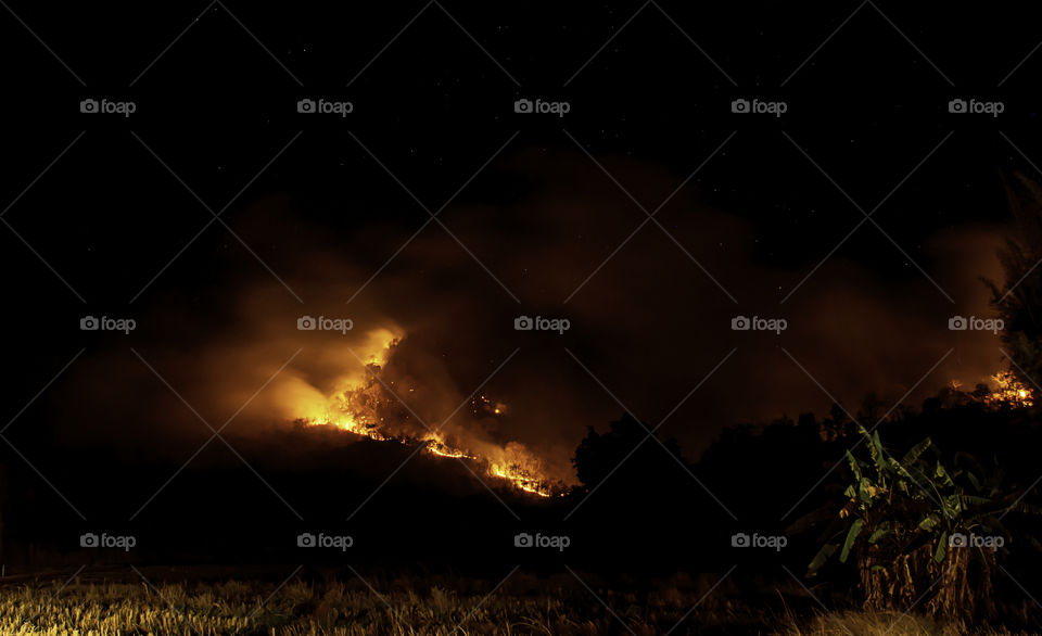 The fire was burning trees on the mountain at night with all stars in the sky.