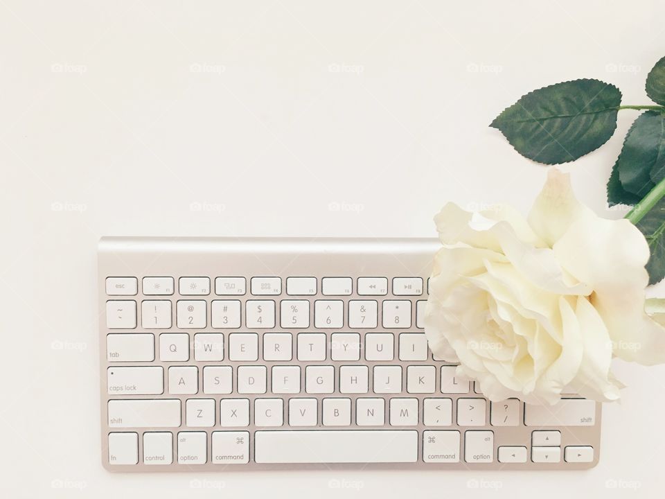 White Rose and Keyboard 