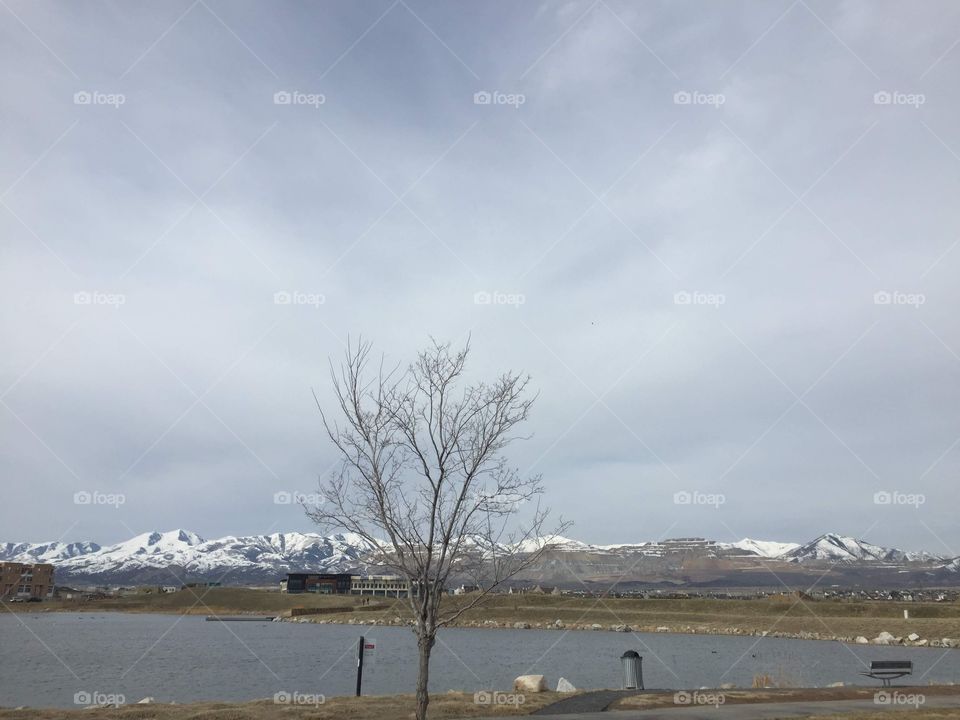 Snow Capped Mountains & Blue Sky, Lake Art.