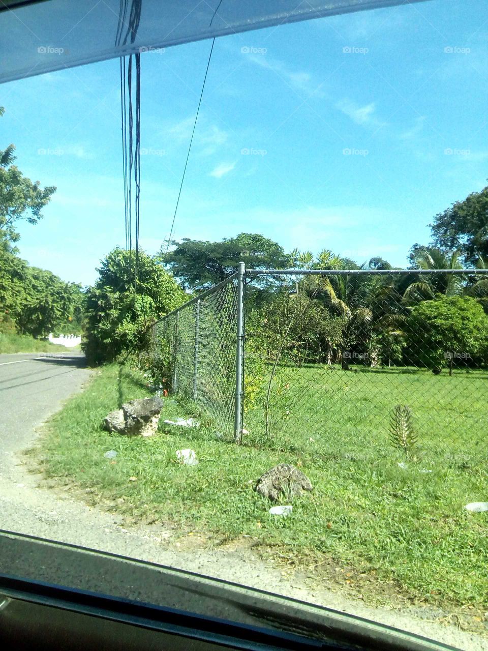 the skylight is amazing to see an all the most beautiful tree and the learn  was great to look at.
