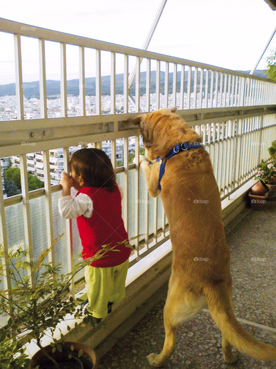 child dog view greece by kyr16