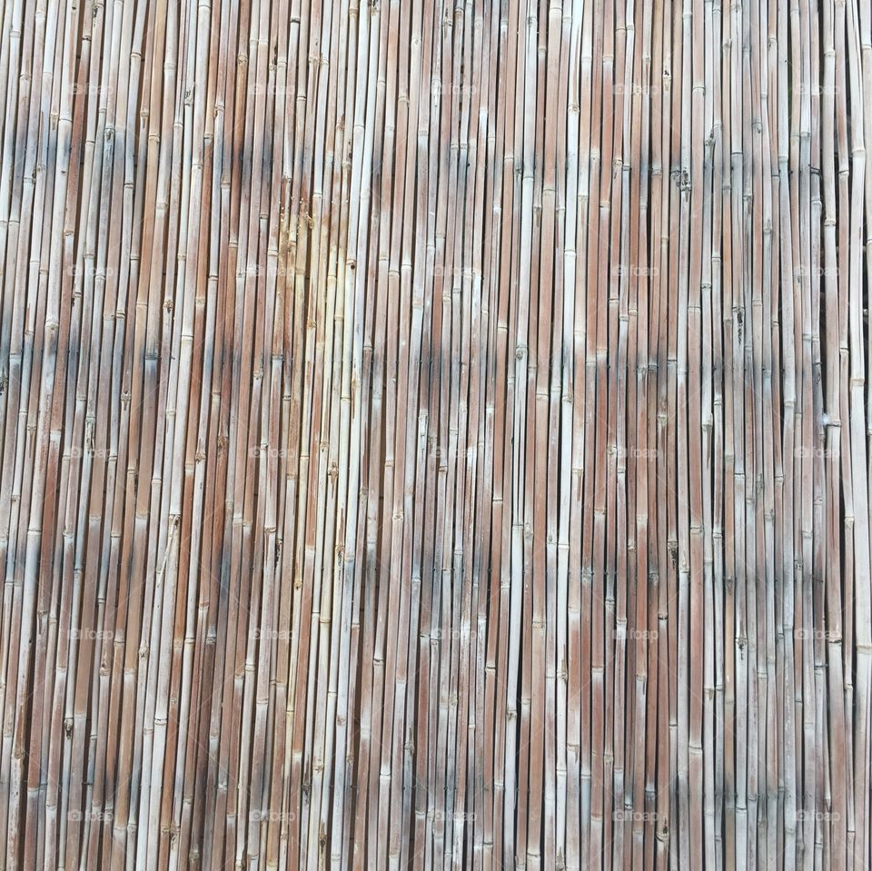 Bamboo wall texture