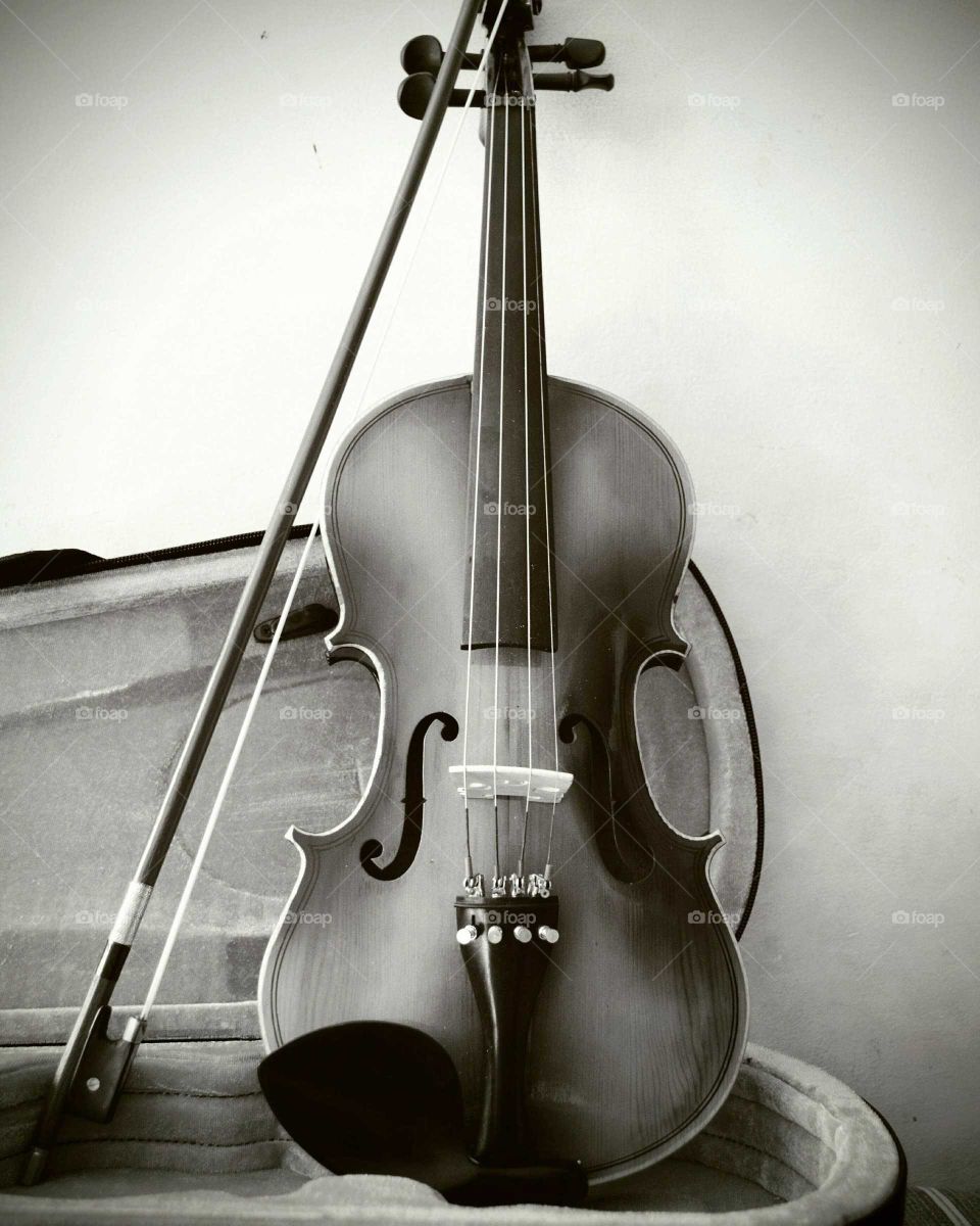 Keep calm, play violin
