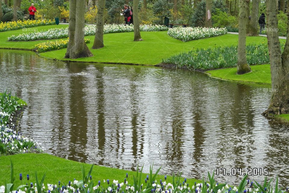 Riverside at Keukenhoff Gardens Holland