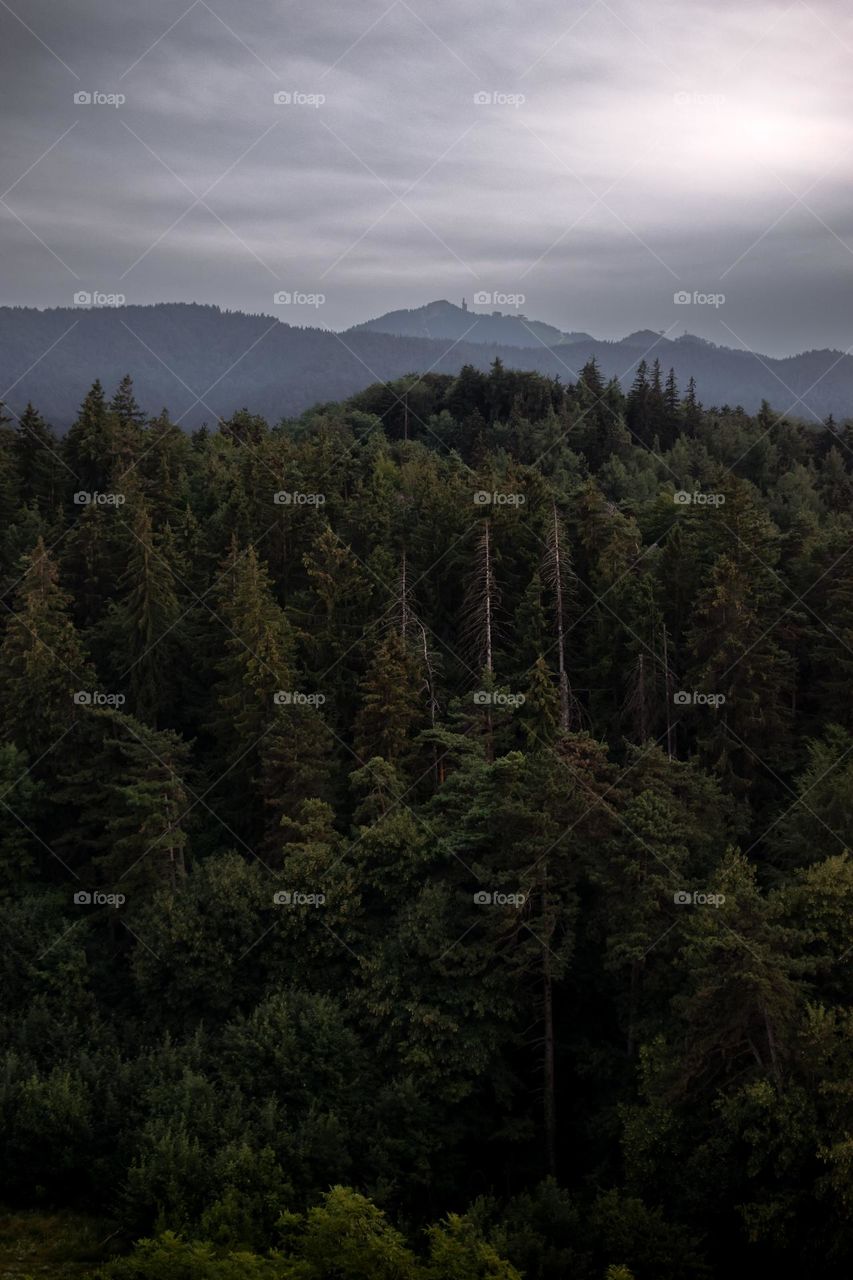 The mountains are calling, and I must go.