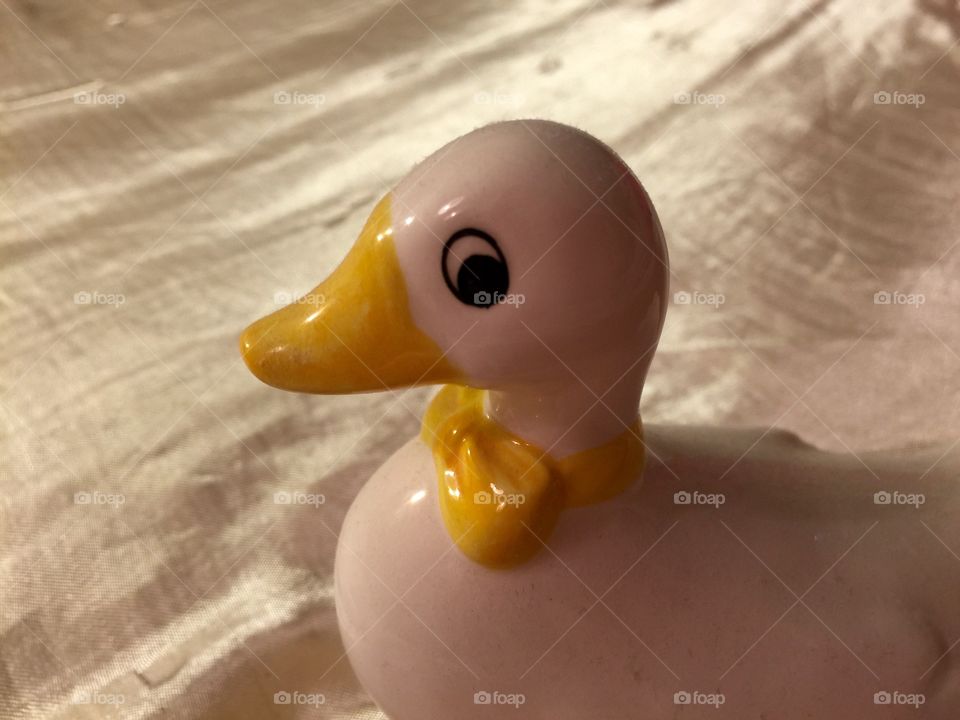 My duck