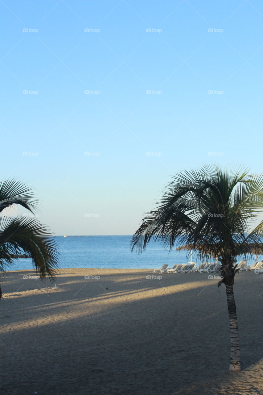 Relaxing by the palm trees on a clear, sandy beach.