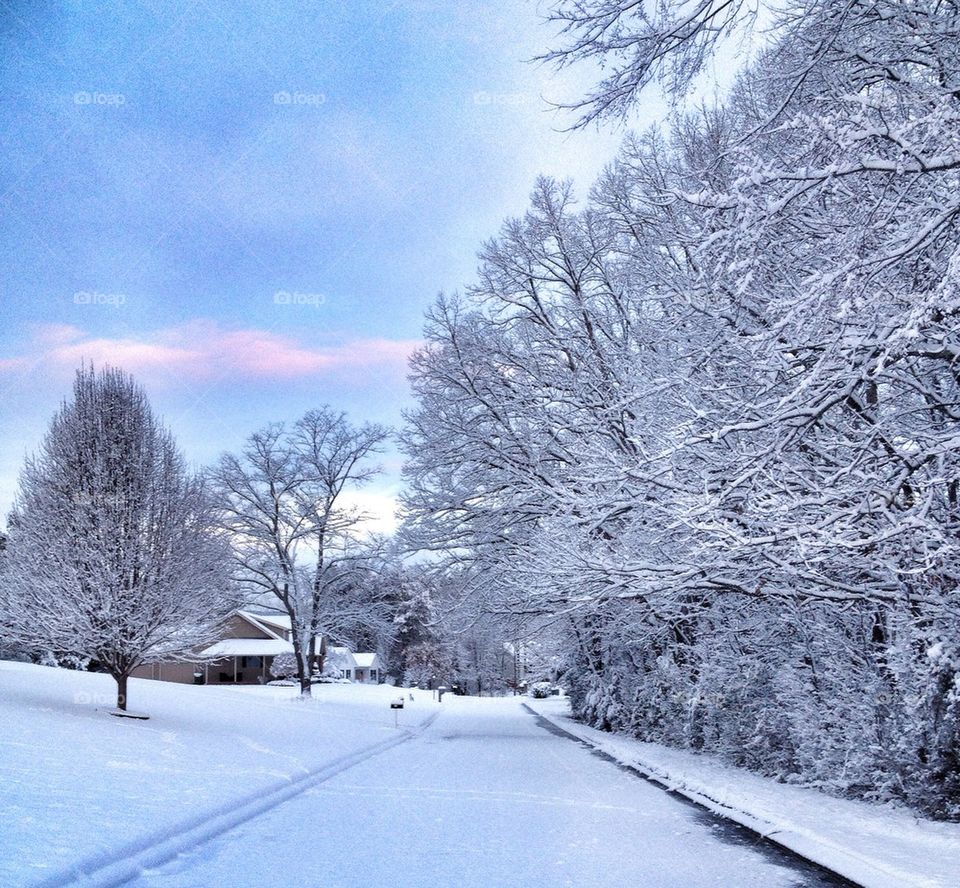A Tennessee Winter Wonderland b