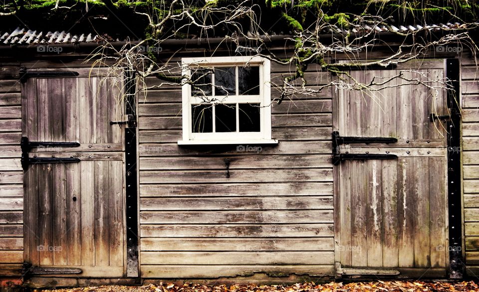 Shed. Old wooden shed 