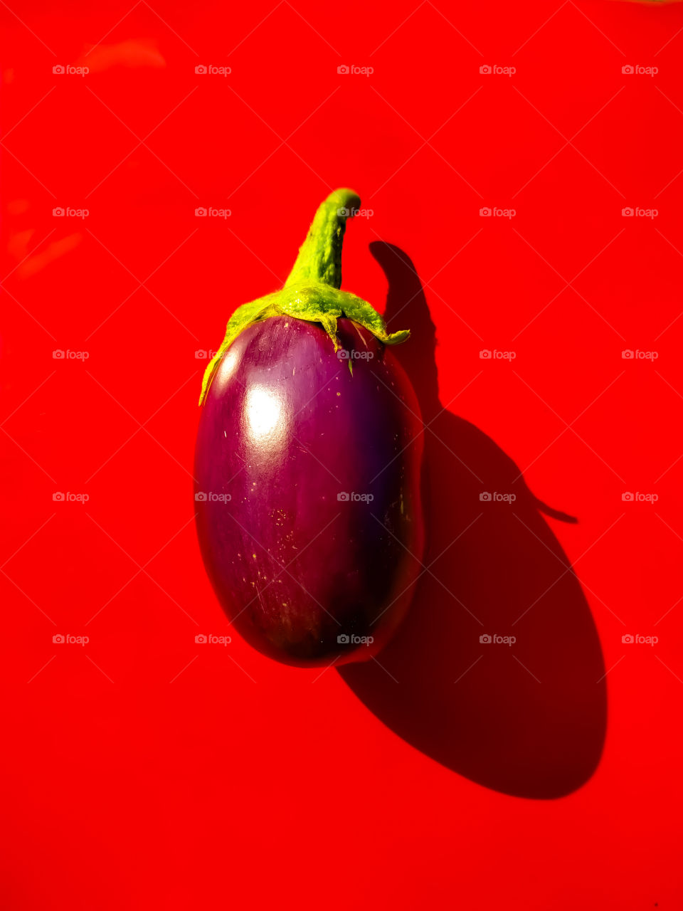 fresh Brinjal isolated on pink with clipping path