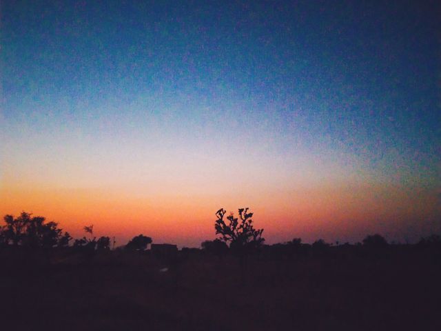 Landscape