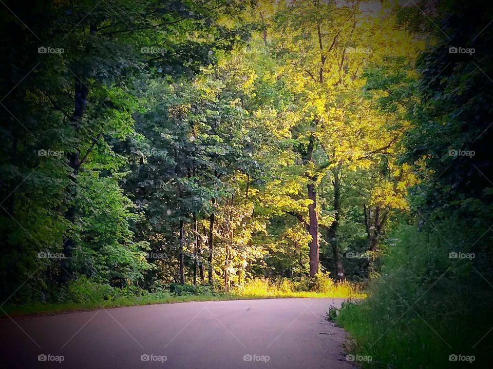 Driving the Back Roads and enjoying everything around us