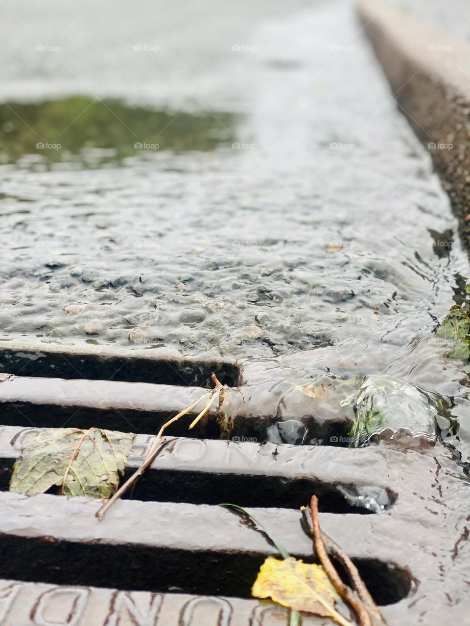 Rainwater is flowing! How beautiful 💦