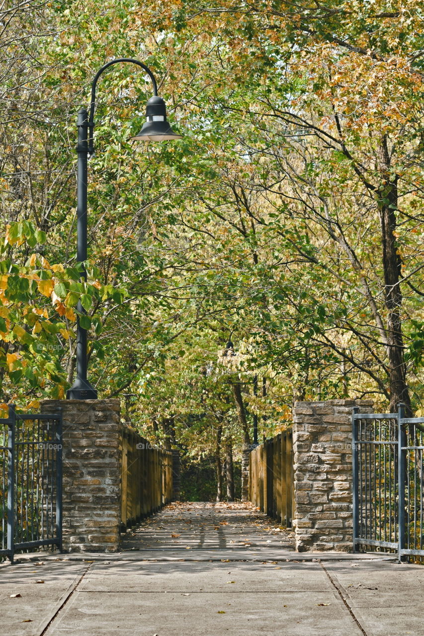 Fall season. View of an entrance to a bridge with a lamp post and surrounded by  trees with yellow,  red and green leaves