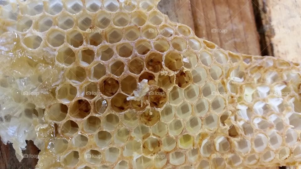 Honeycomb