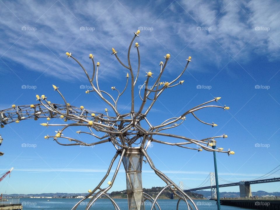 Metal tree . San Fran Cisco . USA