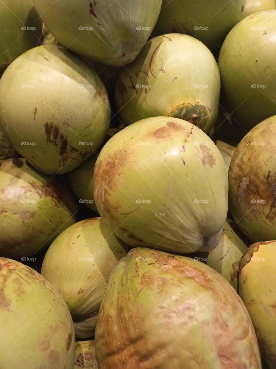 O coco verde é uma excelente  fonte de potássio,  nutriente responsável  pela saúde  cardiovascular,  contém manganês, que ajuda a melhorar o metabolismo,  fortalece os ossos e hidrata o corpo