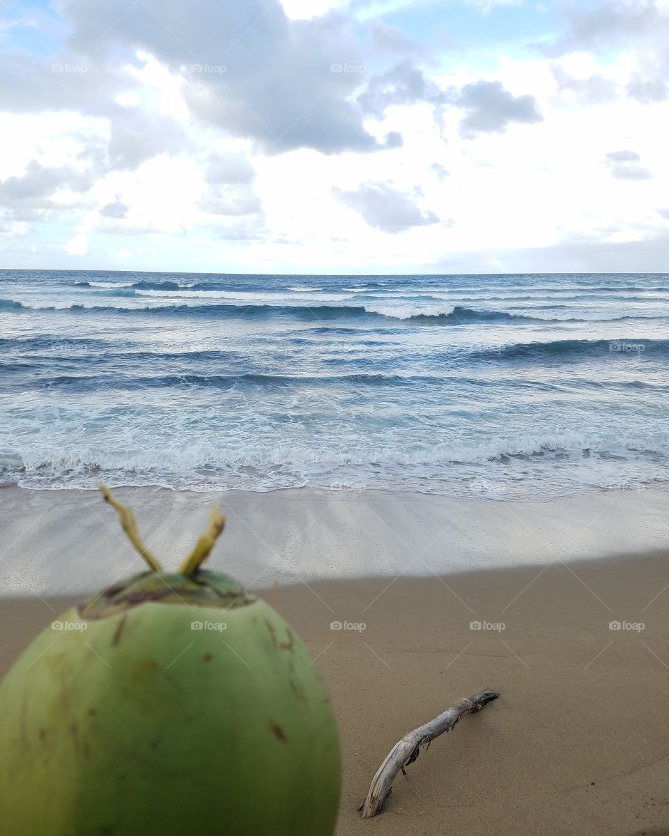 coconut waves