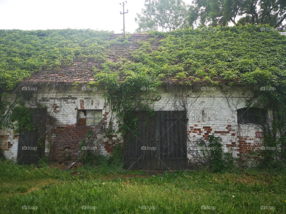 Old Building