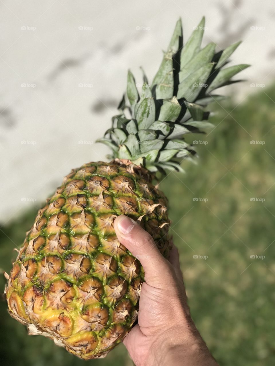 Pineapple by the sun 