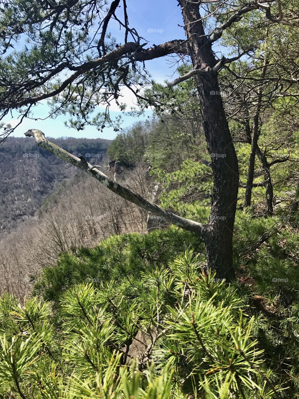 A picture of endless wall trail, West Virginia 