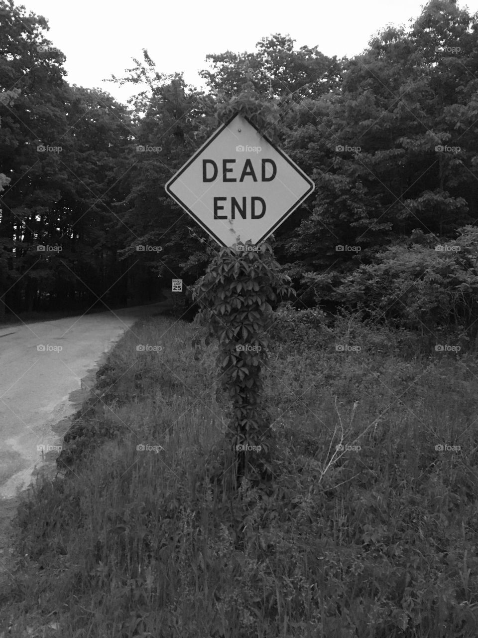 A Dead End Road