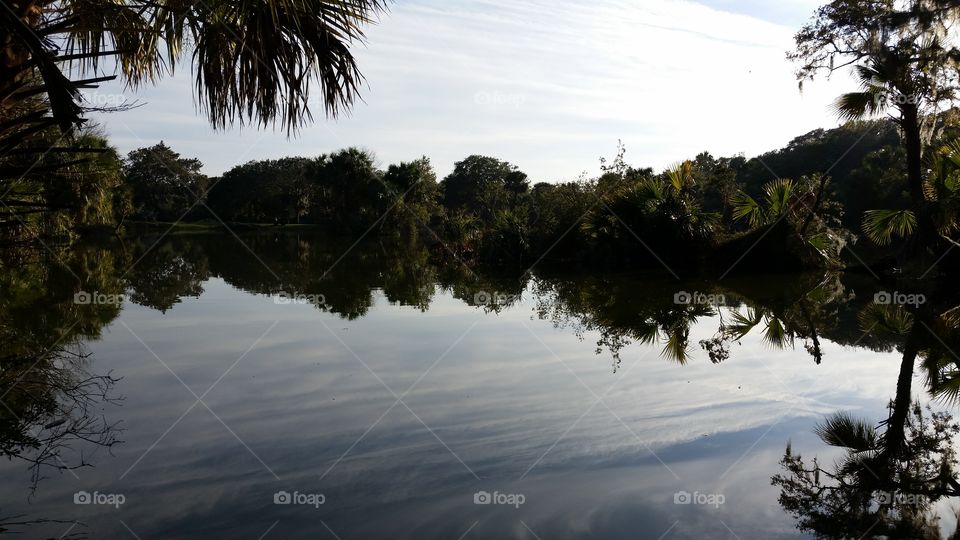 Tropical Lake Reflection